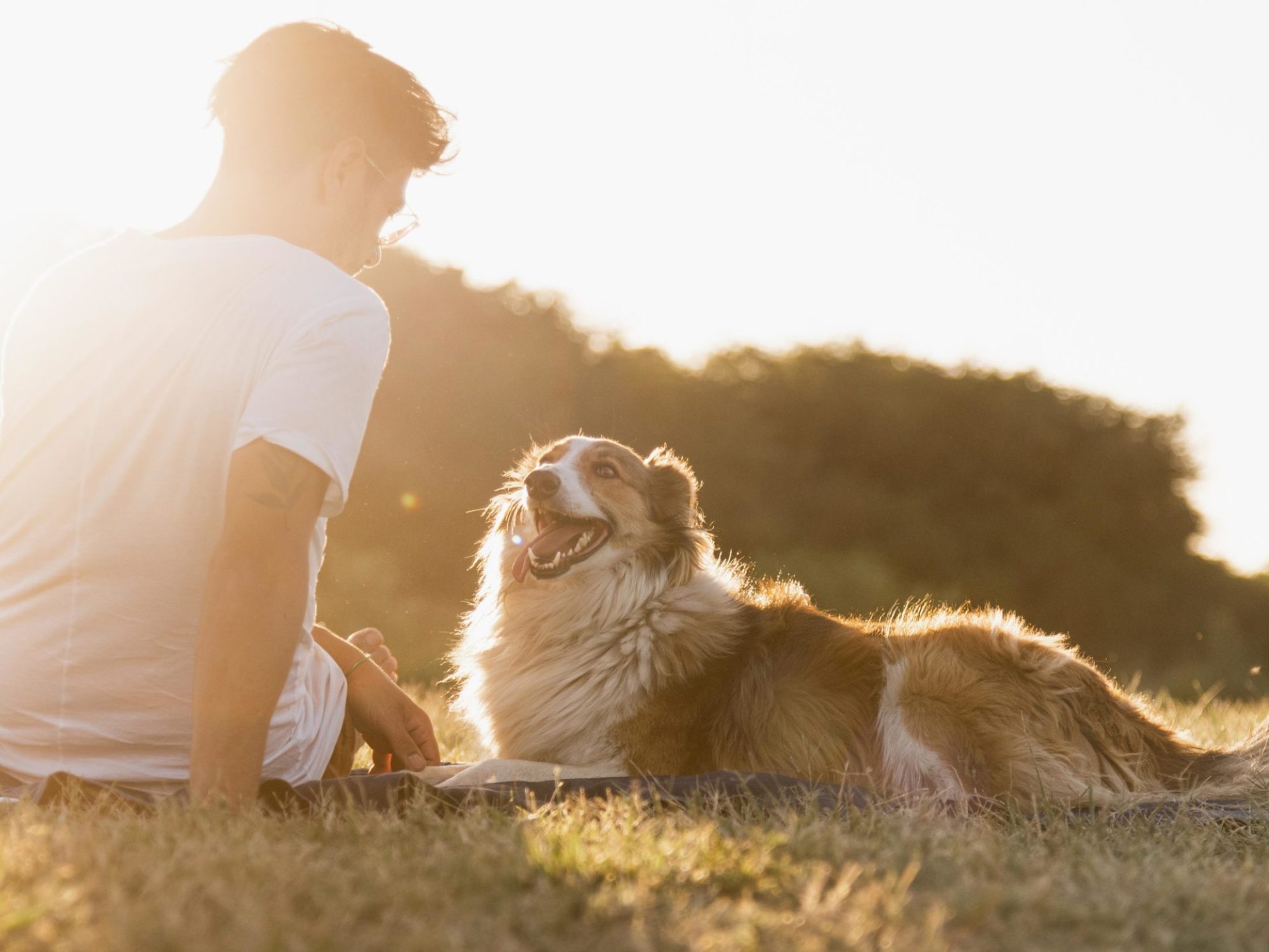 mann som sitter på bakken med hund